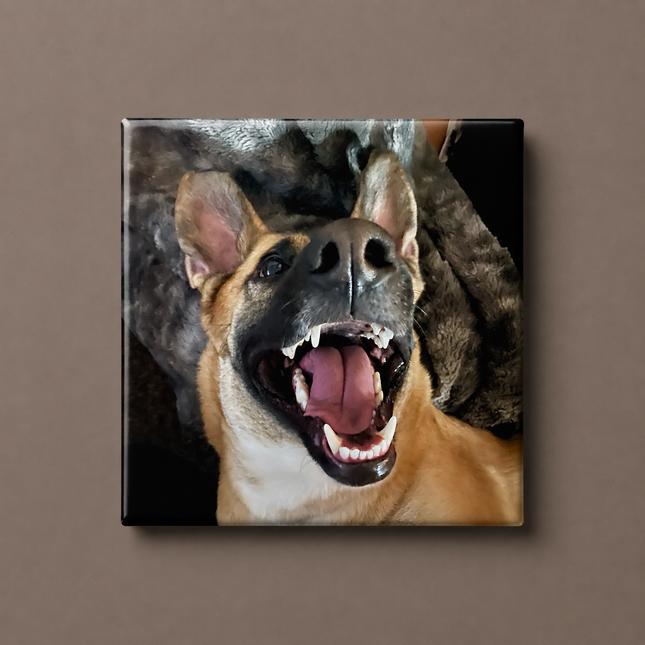 Premium Custom Magnets