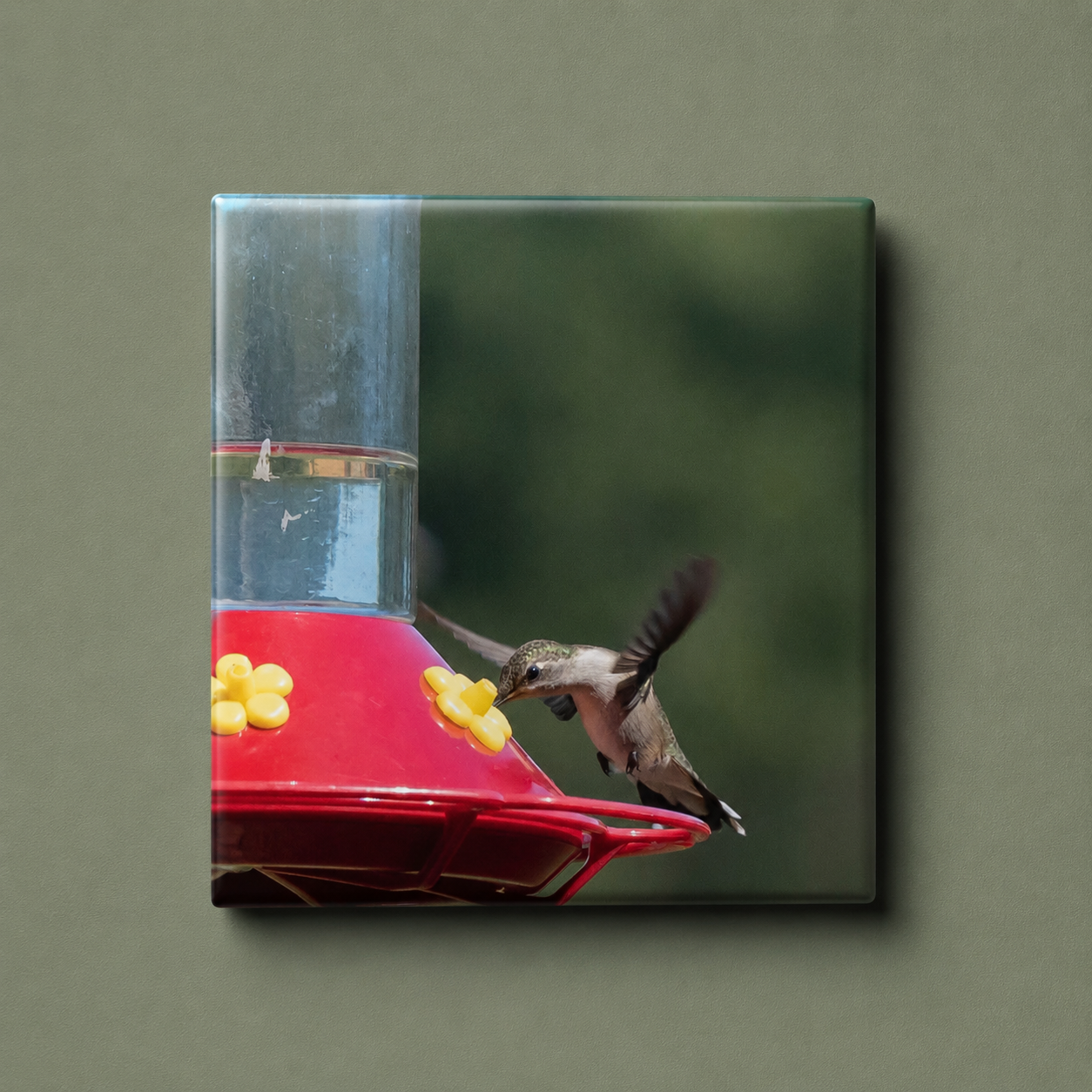 Premade Magnets